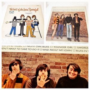 The Best of The Loving Spoonfuls VTG Record